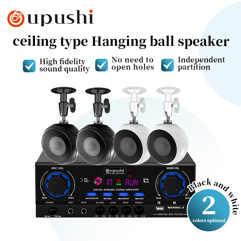 Oupushi 天井取り付け壁取り付けオーディオ システム  - Audio Music Hifi のレビューと価格