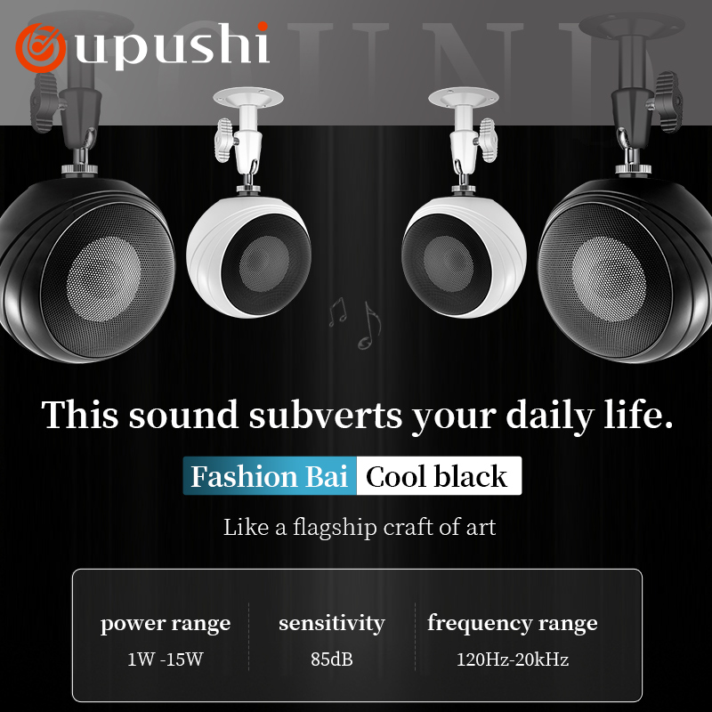 Oupushi 天井取り付け壁取り付けオーディオ システム  - Audio Music Hifi のレビューと価格